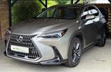 Lexus NX 450h ALLRAD HEAD UP LED - silberne Lexus NX-Serie