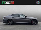 Alfa Romeo Giulia Quadrifoglio 2.9 V6 Bi-Turbo *Akrapovic* - Alfa Romeo Giulia Akrapovic Gebrauchtwagen