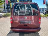 Volkswagen Caddy Roncalli 1.6 TDI Trendline/7SITZE/8XR/AHK - Volkswagen Caddy: Roncalli Trendline