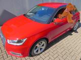 Audi A1 1.0 TFSI ultra sport - gebrauchte Kleinwagen in Siegen
