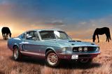 Ford Mustang Shelby GT 500 von 1967 - Ford Mustang aus 1967: Shelby Gt500