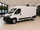 Fiat Ducato Maxi Grossr.-Kasten 35 160 L4H2 RS: 4035 - Fiat Ducato: L4