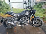 Benelli Leoncino - BENELLI LEONCINO