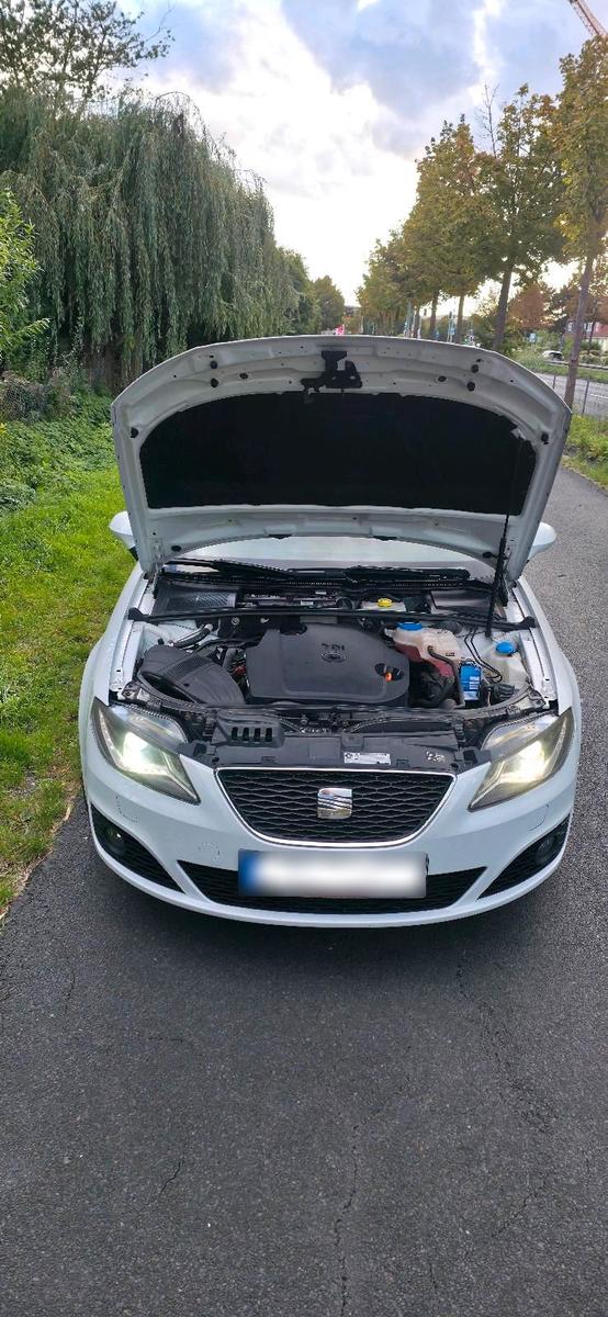 Seat Exeo 2012 — photo 7
