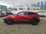 Mazda CX-30 Homura e-Skyactive-G 2.0 M Hybrid - Mazda CX-30: Limousine