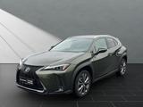 Lexus UX 250h*FSPORT-D*1.HD*ALLW.REIF** 15J-GARANTIE* - Lexus aus 2023