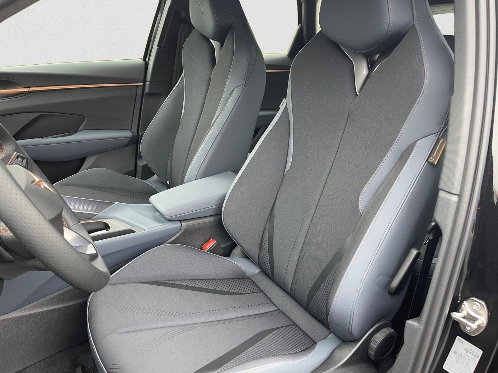 Cupra Terramar - Bild 8