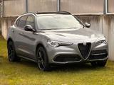 Alfa Romeo Stelvio 2.0 Turbo 16V 206kW AT8-Q4 AHK PANORAMA