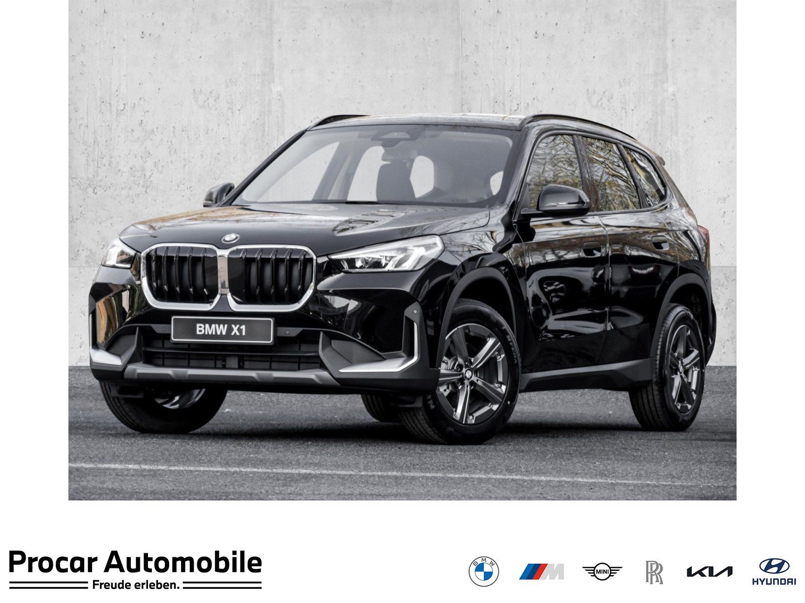 BMW X1 sDrive18i AHK RFK NAVI LED Sound Syst. DAB
