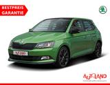 Skoda Fabia 1.2 Monte Carlo Android Apple Tempomat PDC - Skoda Fabia: Grün