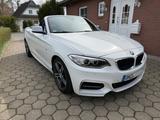 BMW M235i Cabrio Navi Pro, RFK, Komf.zug., HiFi,  - BMW M235: M235i