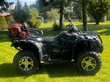 CFMOTO CF 500 QUAD*LOF*AHK*SEILWINDE*SERVICE+TÜV NEU* - QUAD CF 500