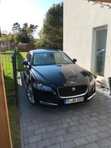 Jaguar XF super gepflegt - Jaguar XF in Berlin