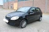 Skoda Fabia - Skoda mit LPG-Antrieb