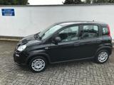 Fiat Panda MY24 1.0 GSE Hybrid Klimaanlage - Fiat Panda Gebrauchtwagen in Aachen