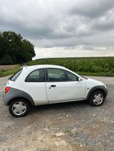 Ford Ka/Ka+ 1.3 44 kW - - Ford Ka/Ka+ aus 2008