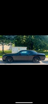 Dodge Challenger - gebrauchte Dodge Challenger aus dem Jahr 2014