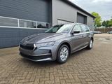 Skoda Octavia  Combi 1.5 TSI 150PS m-HEV DSG Selection - Skoda Octavia Tageszulassungen