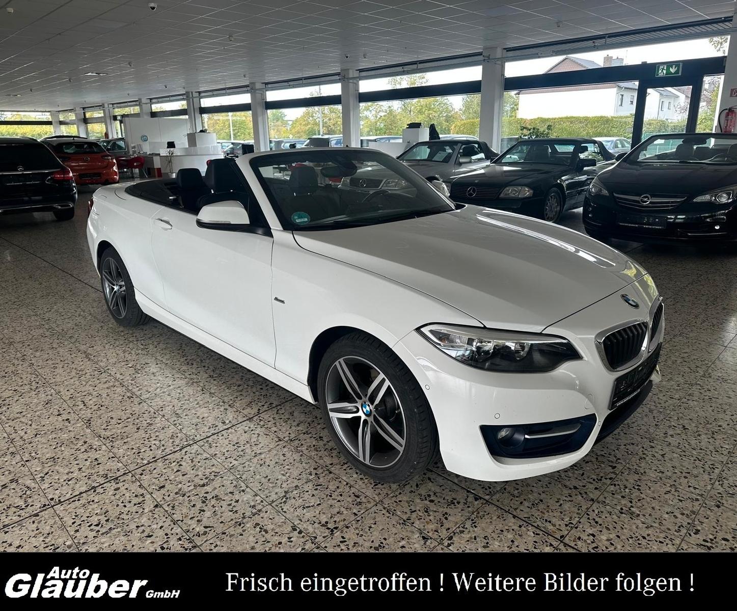 BMW 218 i Cabrio Sport Line/Navi/Leder/1.Hand