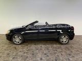 Volkswagen Golf VI Cabriolet 1,4TSi, Klima, T-Leder, Alu - Volkswagen Golf: Cabrio, 1cabrio