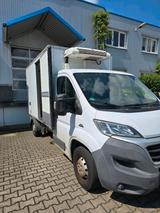 Fiat Ducato Kießling kühlkoffer  zu verkau... - Fiat Ducato in Wuppertal