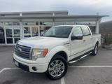 Ford F 150 Doppia Cabina PLAUTINUM - Ford mit LPG-Antrieb: 150