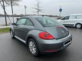 Volkswagen Beetle Design 1.Hand Komfort-Paket - Volkswagen Beetle: Kleinwagen