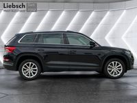 Skoda Kodiaq - Vorschau Bild 6