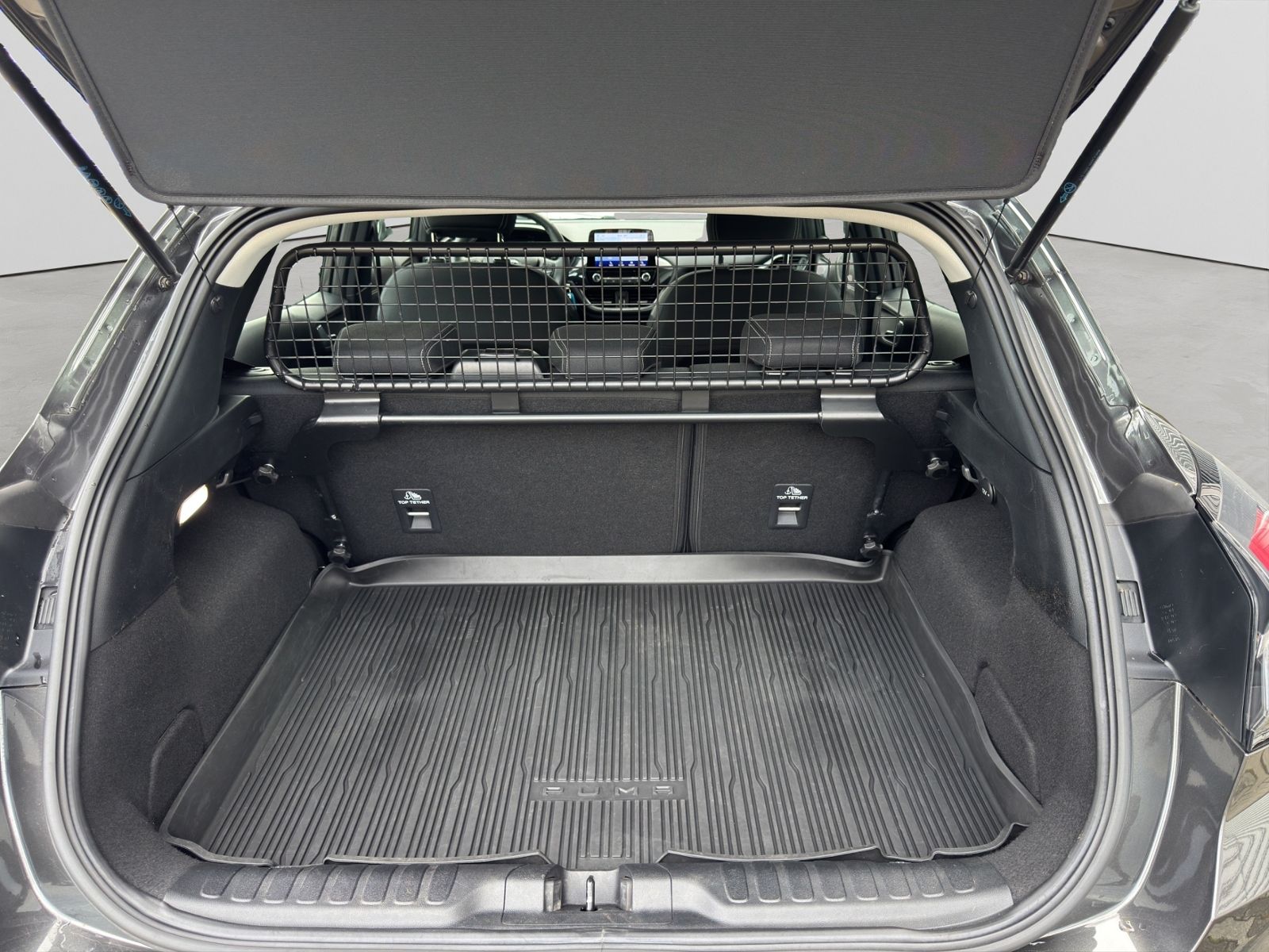 Puma 1.0 EcoBoost Titanium *LED*NAVI*GJR*