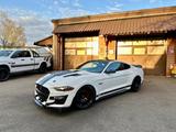 Ford GT350*GT*PREMIUM*LED*NAVI*LEDER*AUTO*GARANTIE - Ford Mustang: Gt350