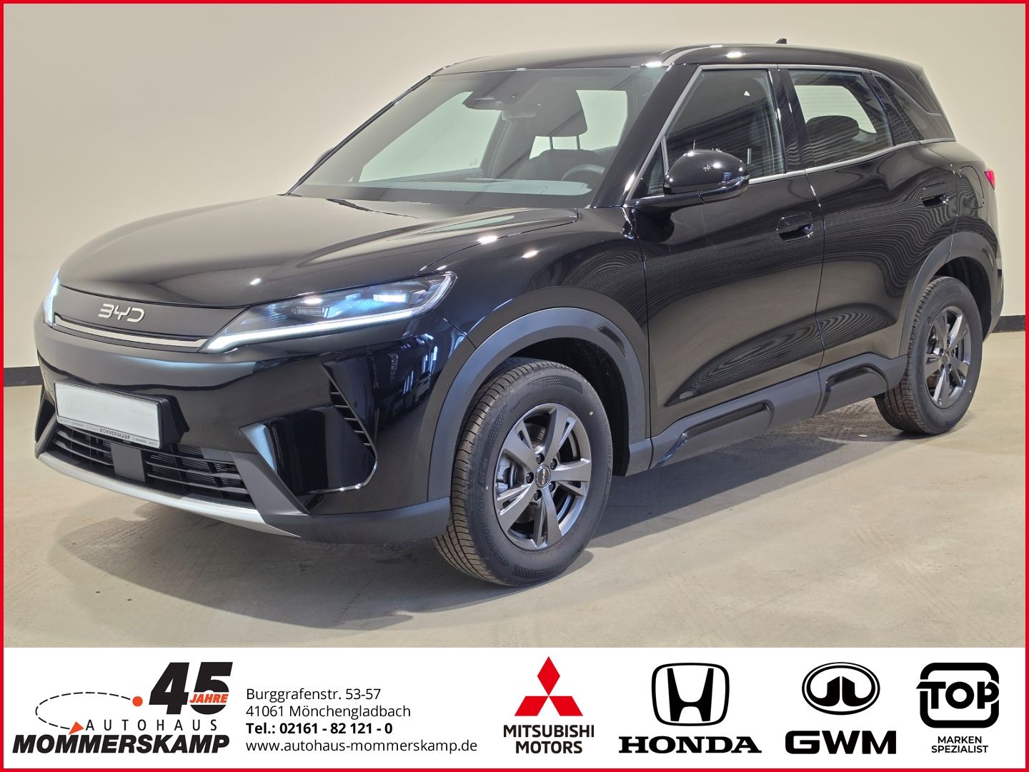 BYD ATTO 2