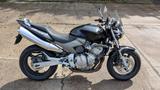 Honda Hornet CB 600 F - HONDA 2005 HORNET 600