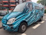 Mercedes-Benz Sprinter II Kasten 309/311/313/315 CDI - Mercedes-Benz Sprinter aus 2009: 313 Cdi