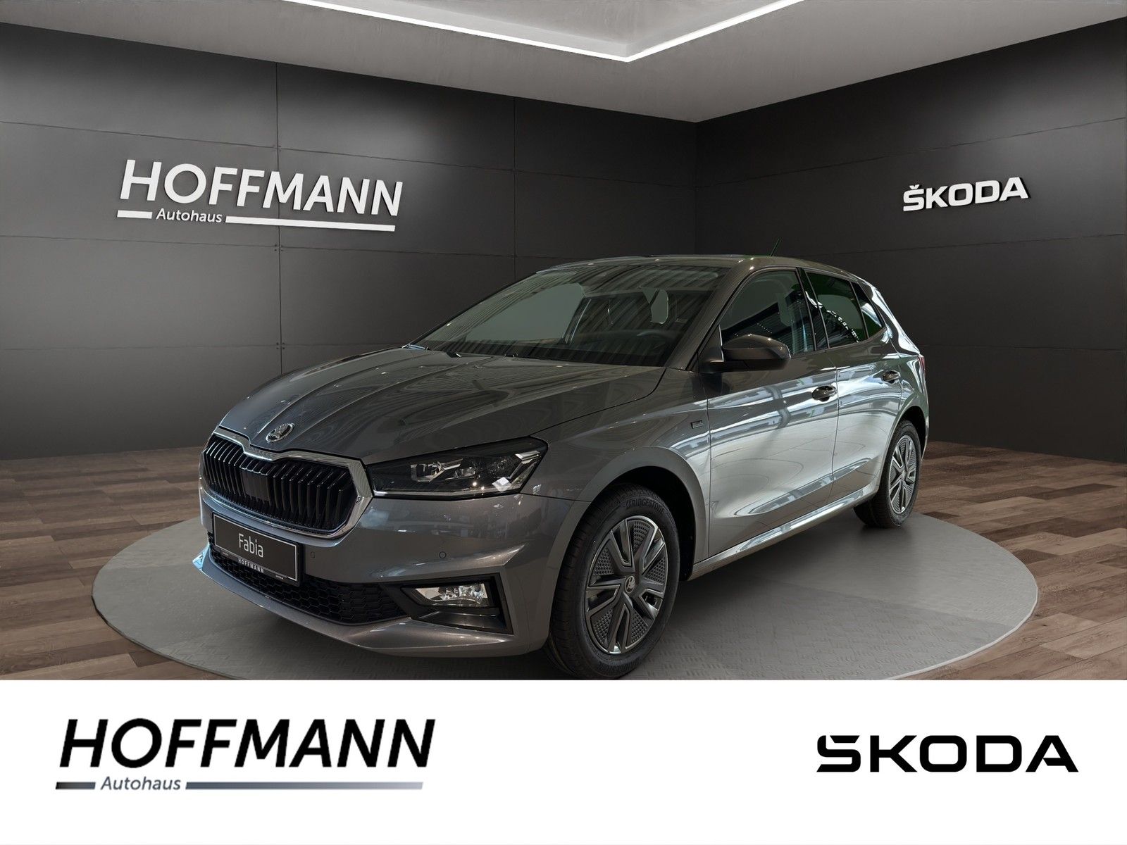 Fahrzeugbild von Skoda Fabia