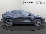 Lexus NX 350h Luxury AWD HUD SITZBELÜFTUNG PANO - Lexus NX Luxury