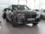 BMW X5 xDrive30d Spring Break Deals M Sport Pro Pano - BMW X5 Gebrauchtwagen