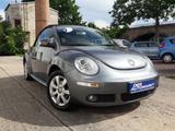 Volkswagen New Beetle 1.6 Cabriolet-elektr. Verdeck, SHZ - Volkswagen New Beetle aus 2008