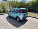 Fiat Panda 1.2 POP  - Fiat Panda Gebrauchtwagen in Frankfurt