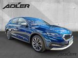 Skoda Octavia Combi Scout 4x4 2.0 TDI HUD El. Panodach - Skoda Octavia mit Diesel-Antrieb: Scout