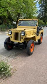 Jeep Willys Jeep Cj3b - Jeep Willys in Bielefeld