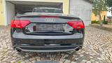 Audi A5 Cabriolet  Quattro / ACC / 2x S-Line - Audi Cabriolet: Leder