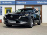 Mazda CX-30 2.0 SKYACTIV-X M Hybrid Selection Allrad - Mazda CX-30: Skyactiv X
