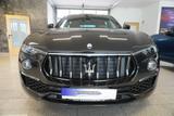 Maserati Levante 330CV GT LED/Navi - Maserati Levante aus 2022