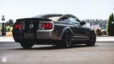 Ford Shelby GT 500, 638 PS, 28700km - Ford Mustang aus 2008: Shelby