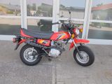 Honda CY 50 - CY 50