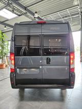 Forster Vantasy FV599VB 140 PS mit Travel+Comfort Paket - Offers