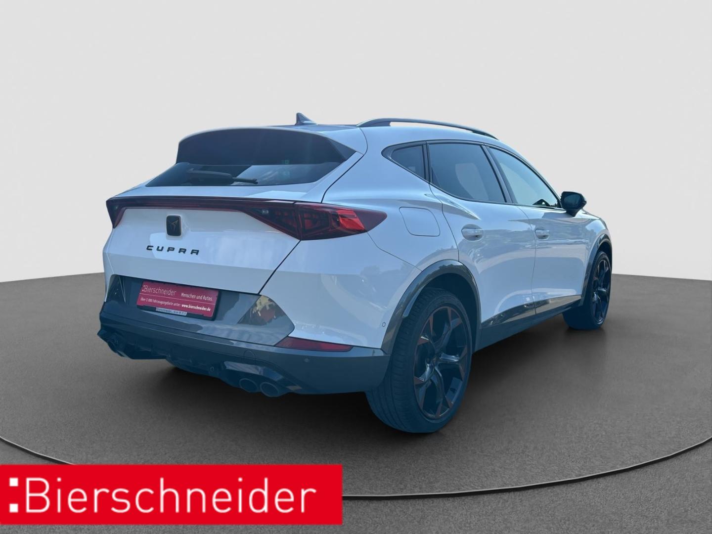 Cupra Formentor 2.0 TSI DSG 4Dr. VZ DCC BEATS MEMORY, миниатюра 6