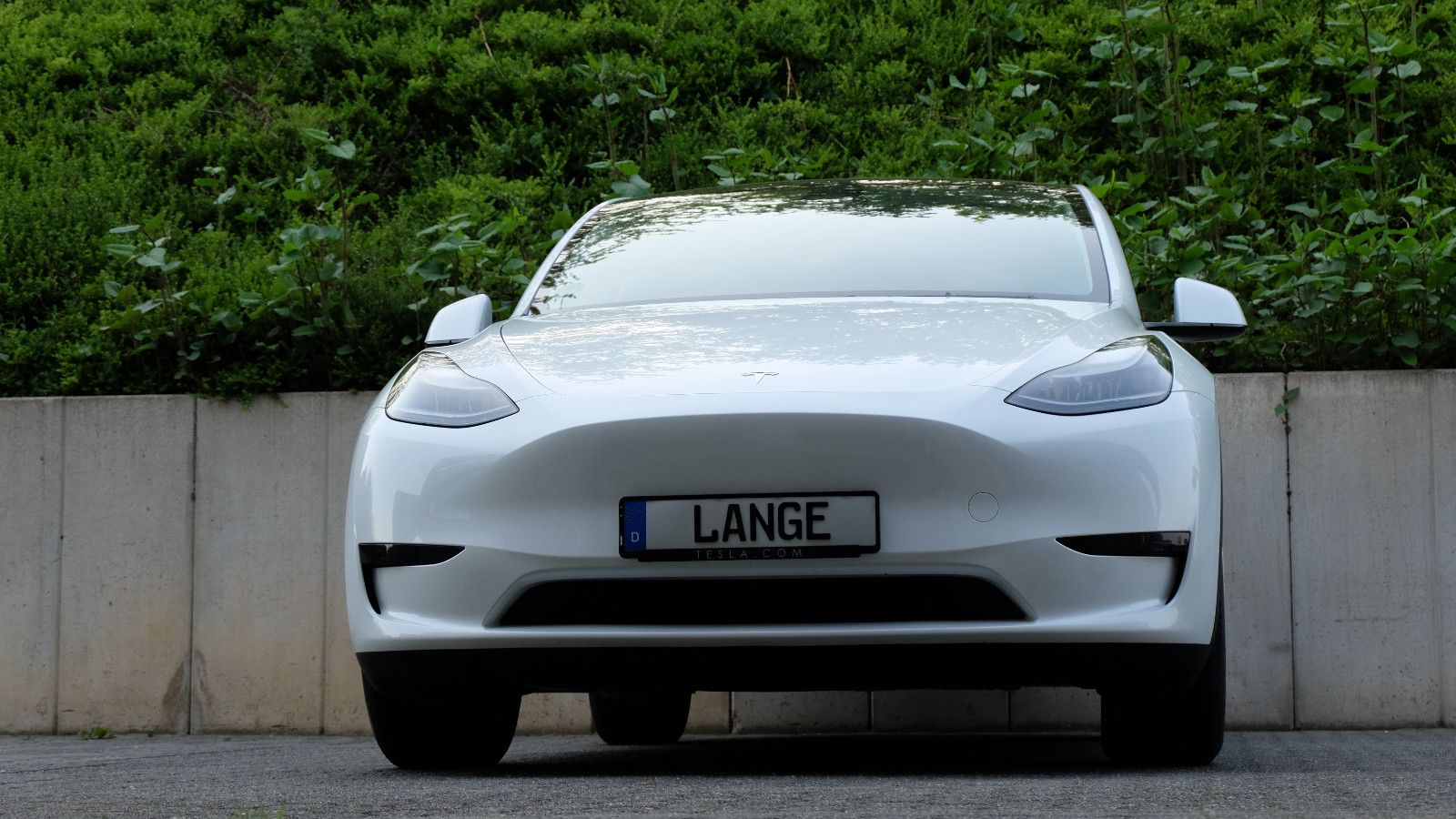 Tesla Model Y Long Range Dual Motor AWD imagem 2