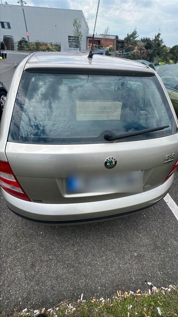 Skoda Fabia 2006 — rear view