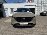 Mazda CX-5 L SKYACTIV-G 194 AWD 5T 6AG AL-HOMURA LEDER - Mazda CX-5 in Frankfurt (Main)